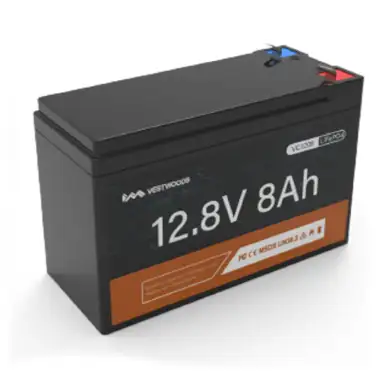 Lithium Battery - Encube Series VC1208