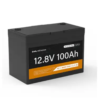 Lithium Battery - Encube Series VC12100 Plus